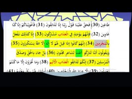 برهان قاطع : قرآن می گوید : کسی که از امام رضا حاجت بخواهد مجرم است !