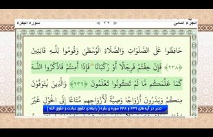 تدبر در قرآن : تدبر در آیه های 239 و 238 سوره ی بقره ( رابطه ی حقوق عبادت و حقوق الله )