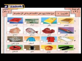 آموزش زبان عربی – درس پنجاه و یکم