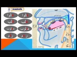 آموزش زبان عربی – درس سی و یکم